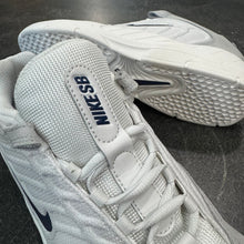 Nike SB Vertebrae Platinum Tint/Midnight Navy