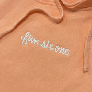 561 Sweatshirt Hoodie Fish Script Peach/White